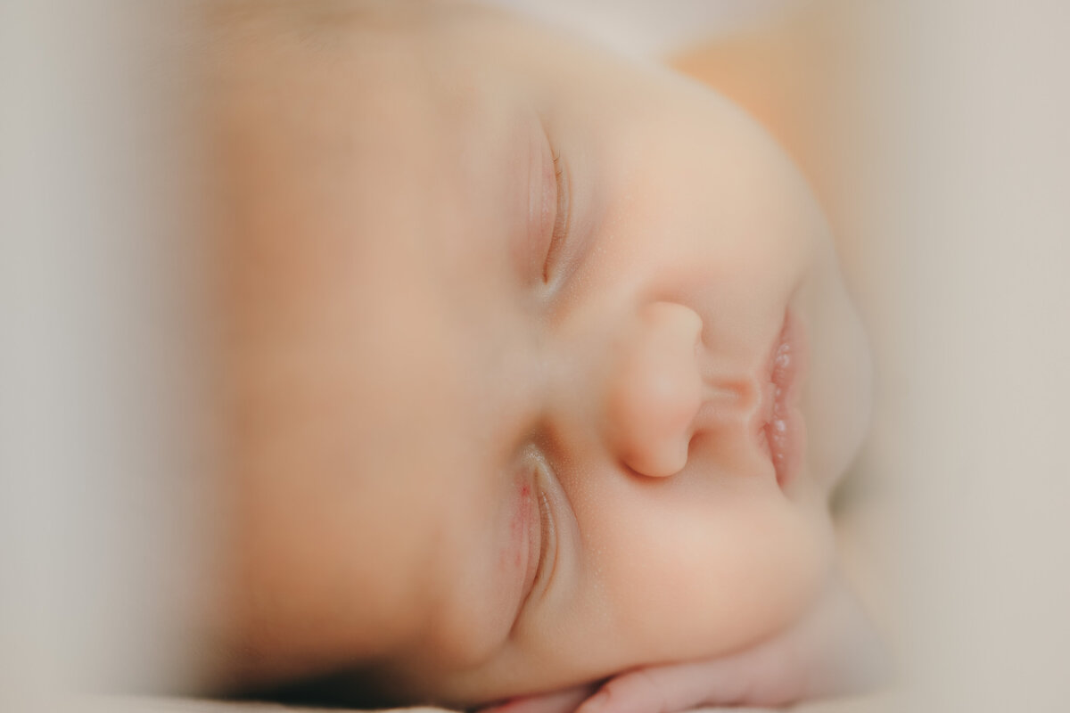 in home newborn session litlefoto photographer keene new hampshire 278