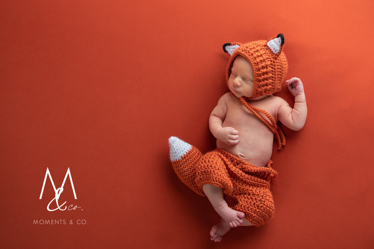 Newborn-Baby-Boy-in-Orange-Fox-Outfit-Photo-1