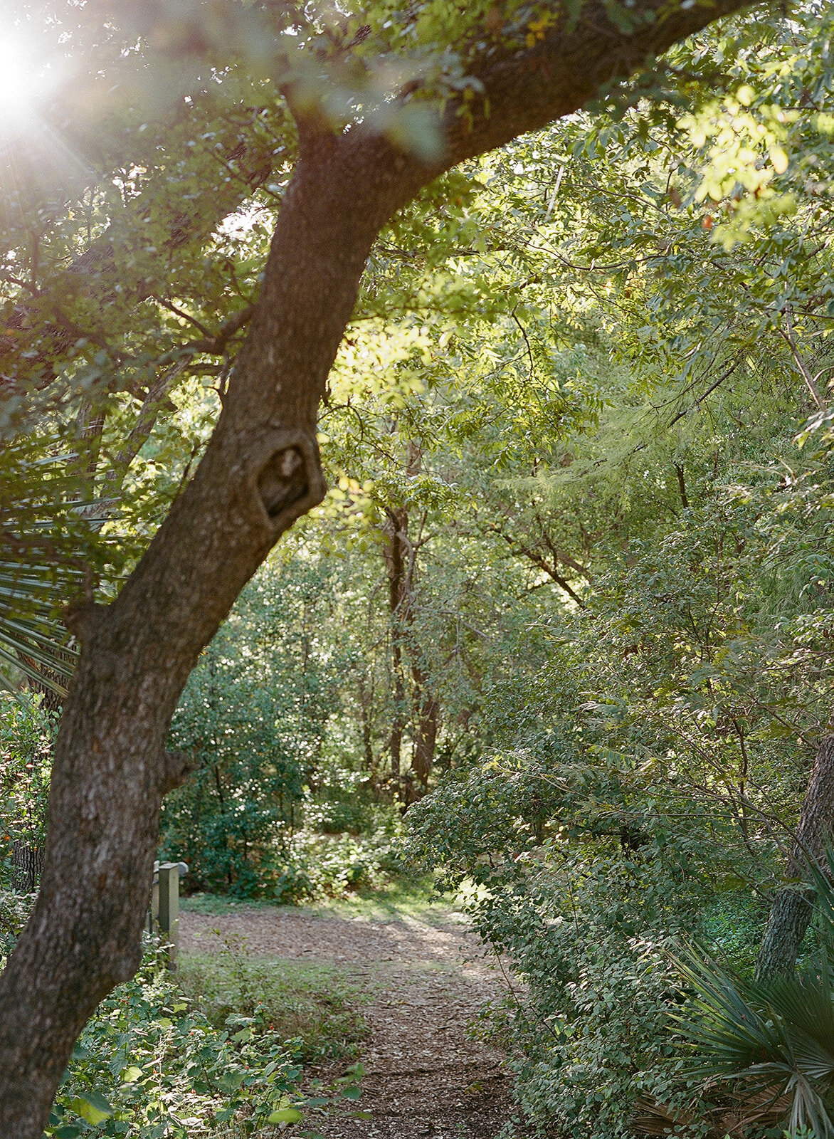 image14