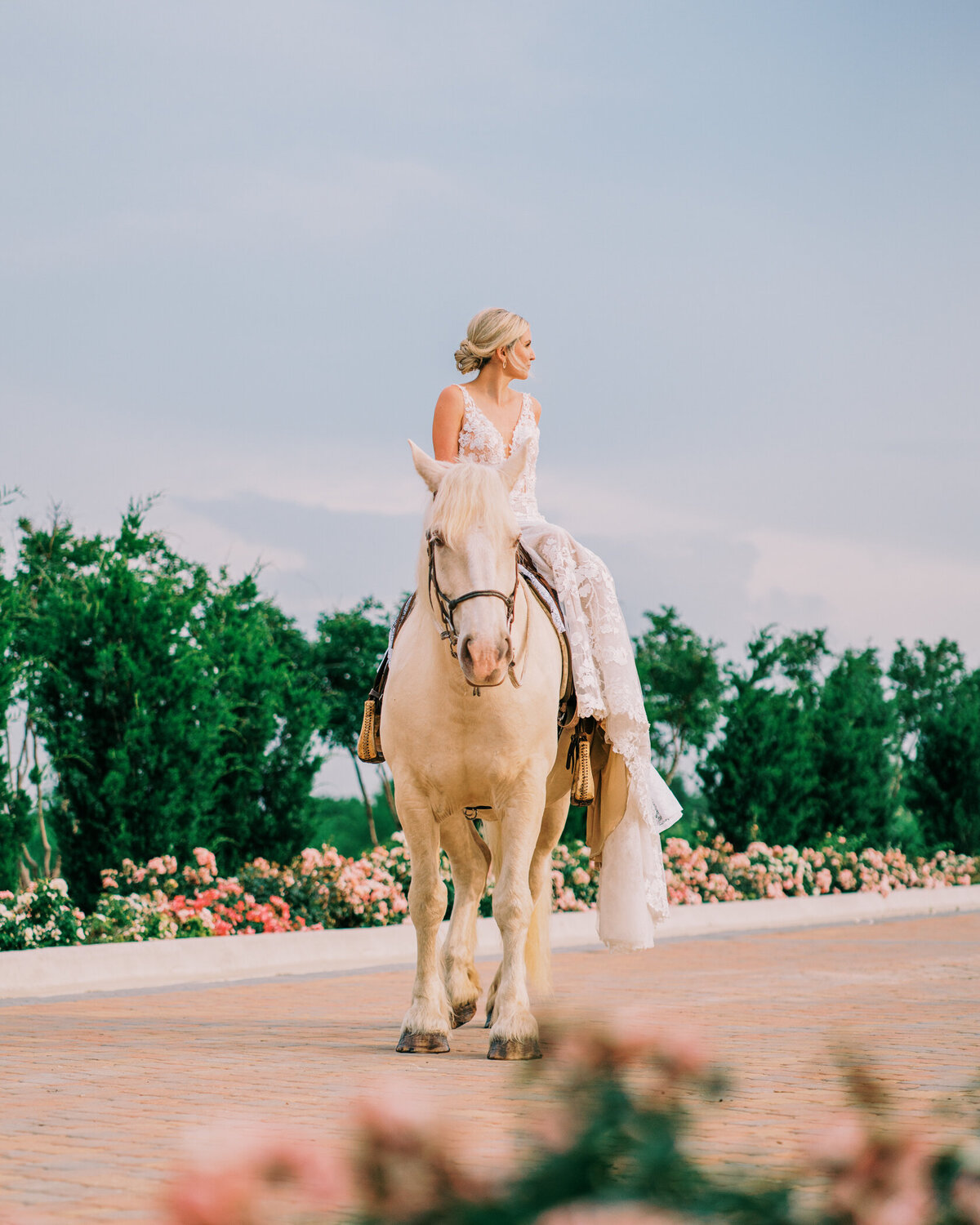 Horse Bridal