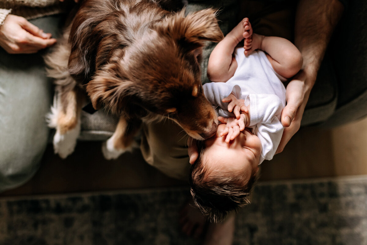 minneapolis-family-photography