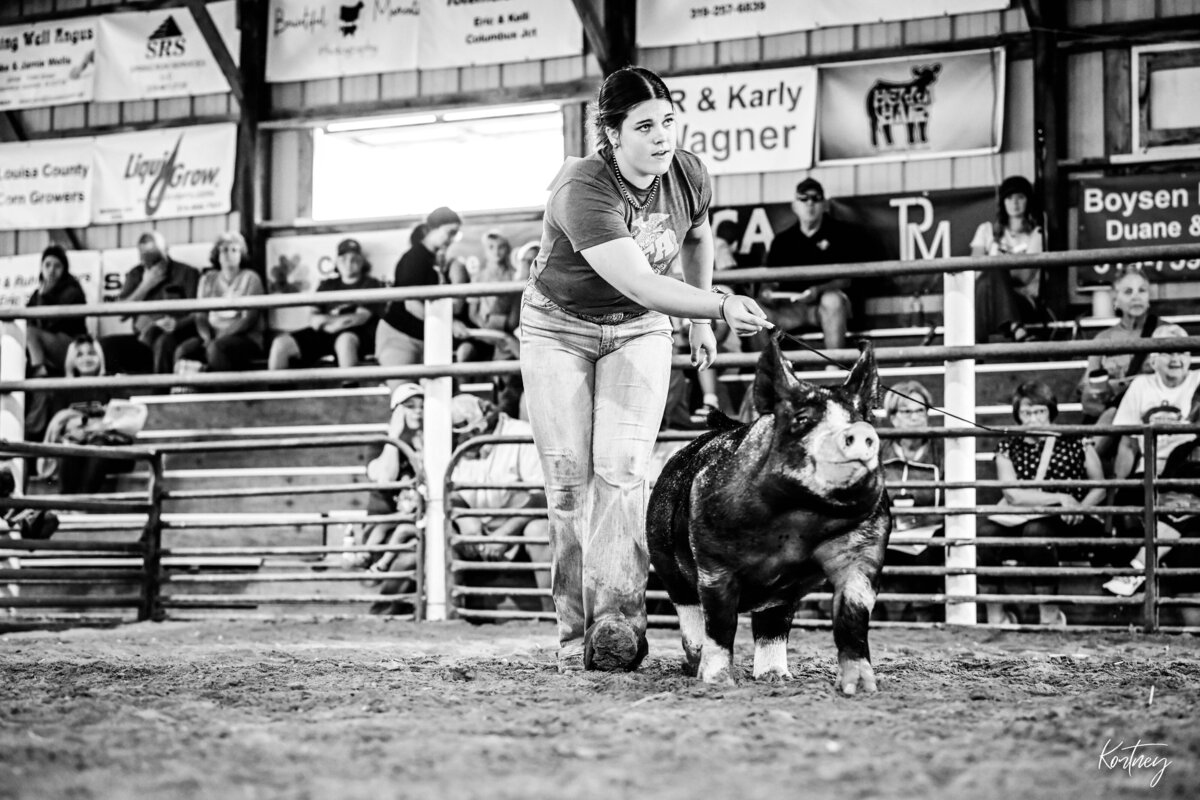 girl driving hog during show