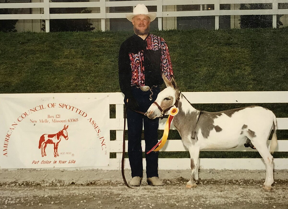 Mr Attitude 1996 ACOSA Reserve Champion