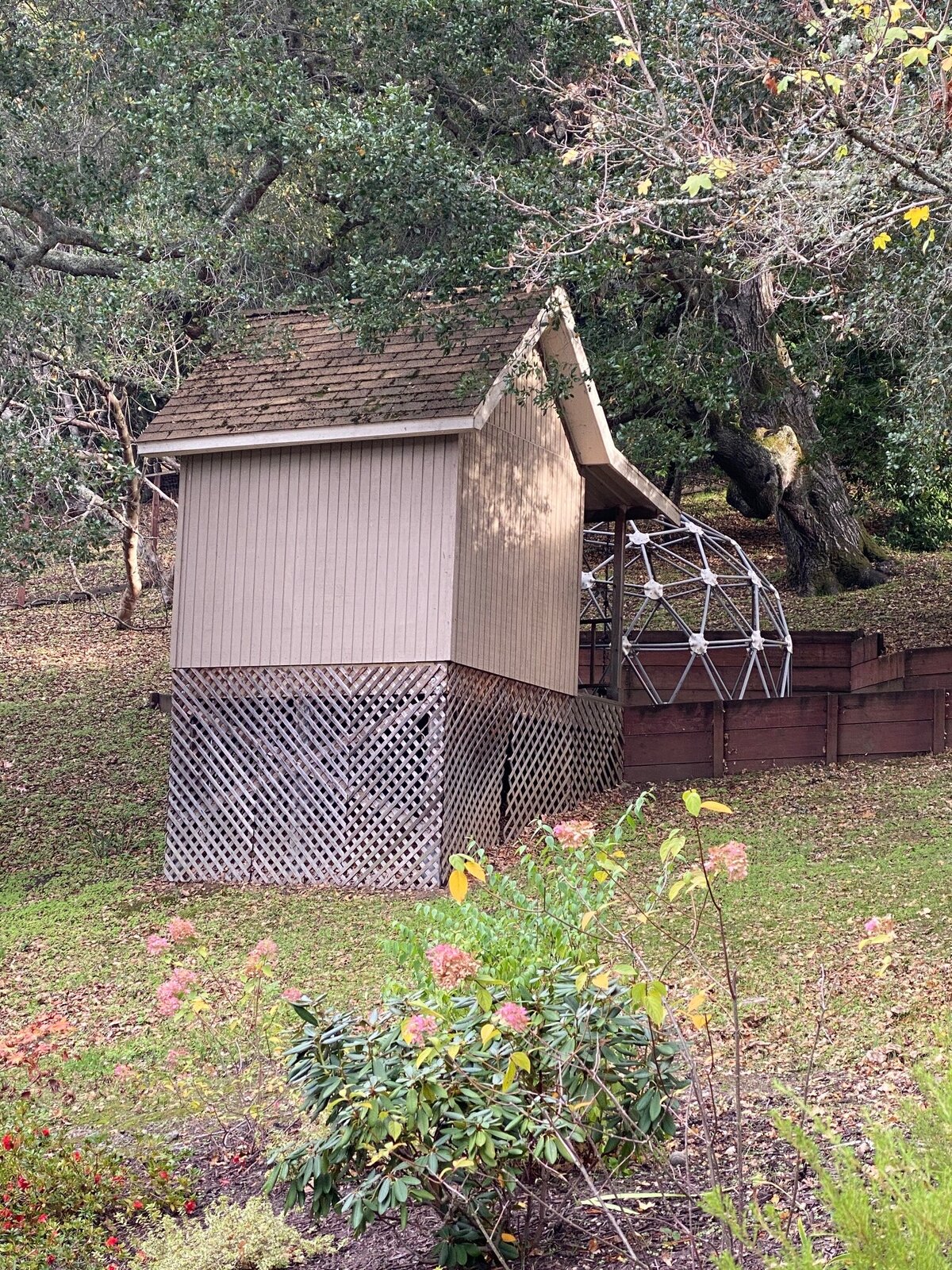 A wooden backyard shed and play structure surrounded by trees and landscaping in a residential East Bay yard.