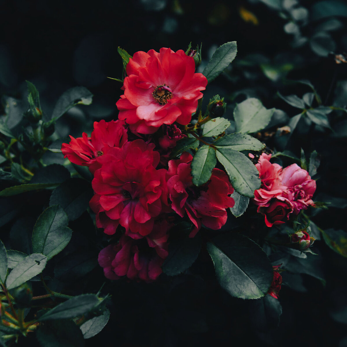 0917DEED-5B09-4F82-B448-4740BF66F4AA