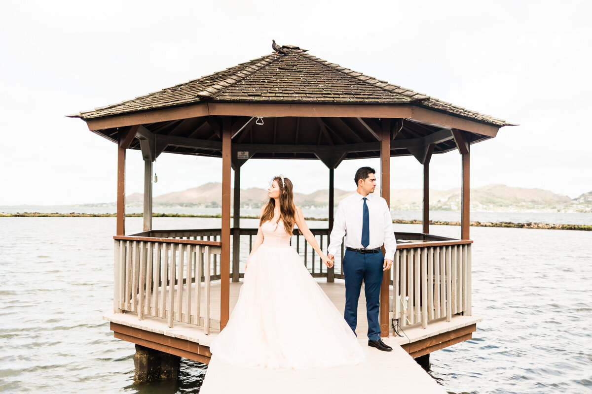 pink_wedding_gown_-2