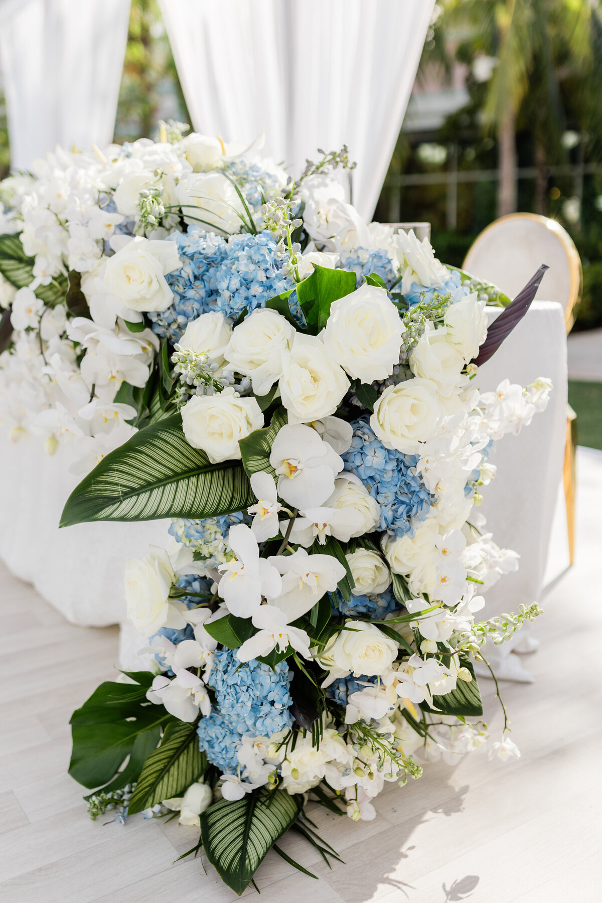 Hotel Bahama WeddingA4062