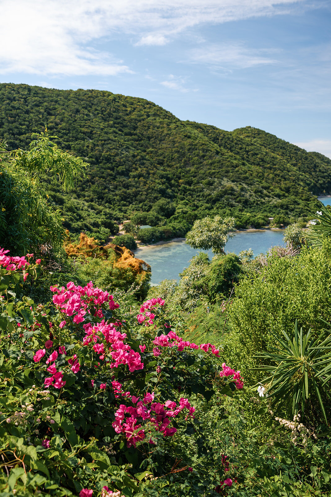 Peter Island-120