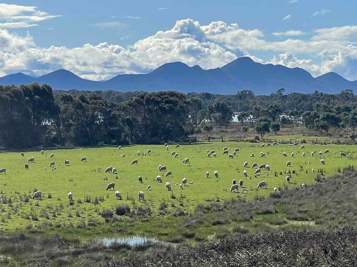 Abrupt Pastoral