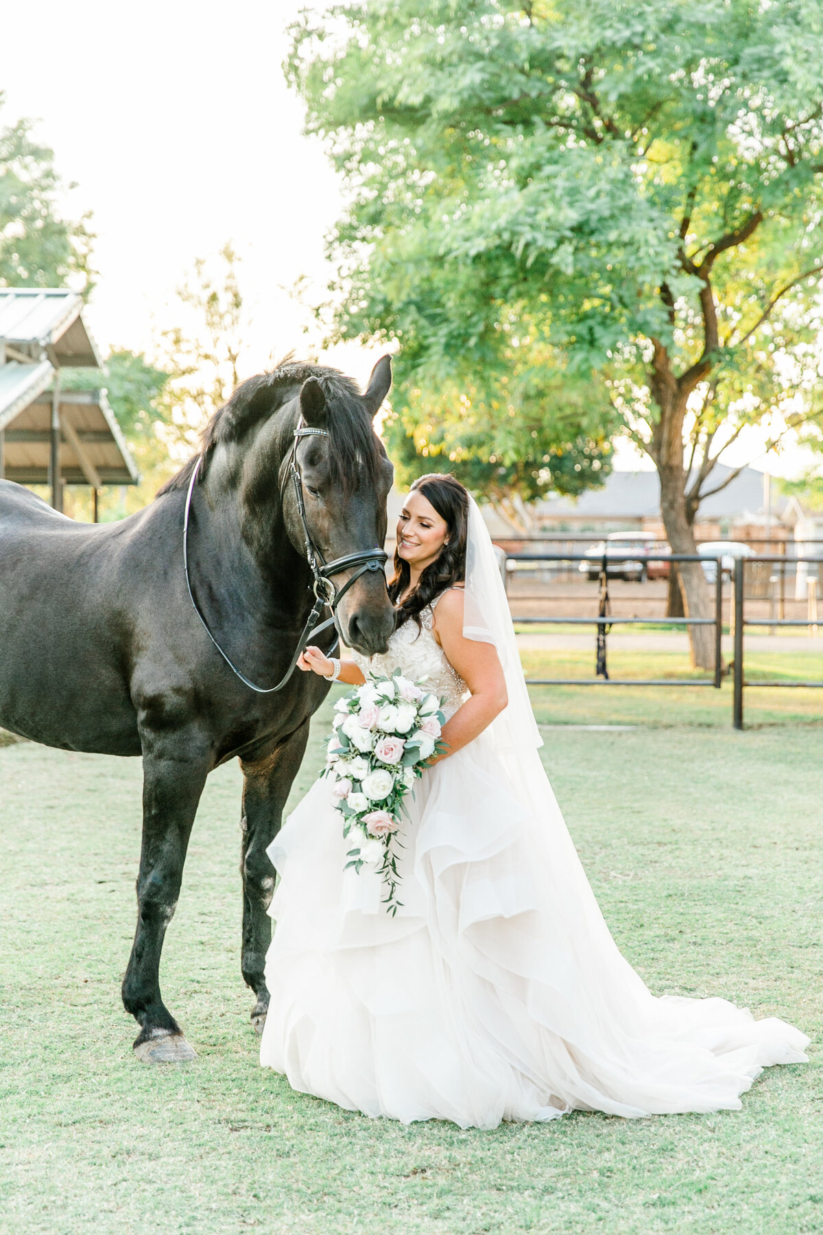 Karlie Colleen Photography - Glendale Arizona Backyard ranch wedding - Meghan & Ken-475