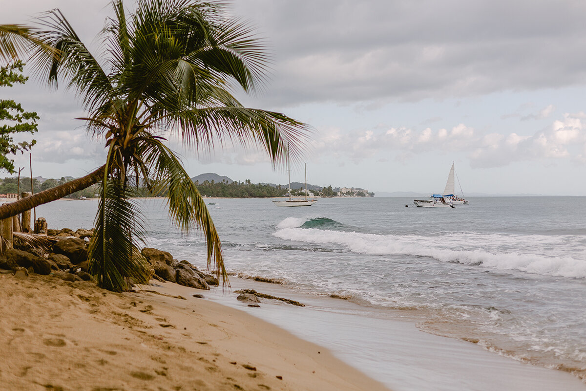 Michelle Norwood Living - Luxury Travel Inspiration - Puerto Rico - MSD-0412-2