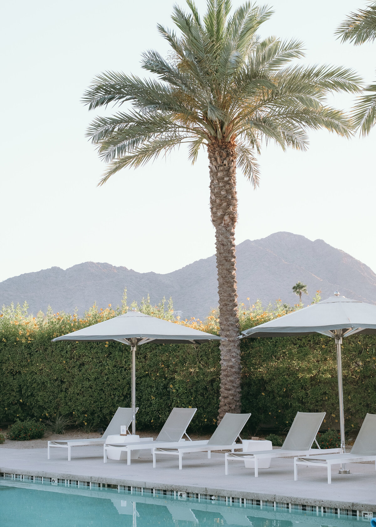 Arizona-Andaz-Resort-Scottsdale-Wedding-Photos-Annette-Ambrose-Photography-1314