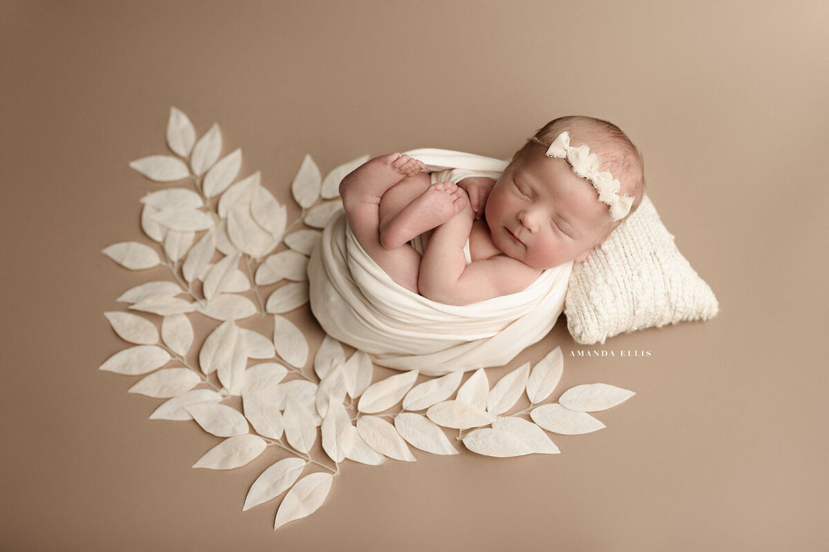 Stunning newborn portrait of baby surrounded by white leaves