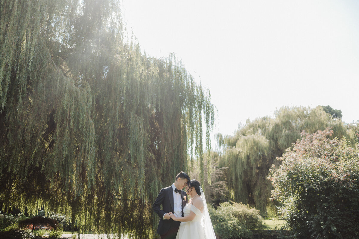 Vancouver Island Wedding photographer, Megan Maundrell Photography, takes a photo of a couple snuggled up under a willow tree in Beacon Hill Park before their ceremony.