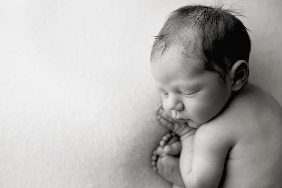 longmont newborn photoshoot