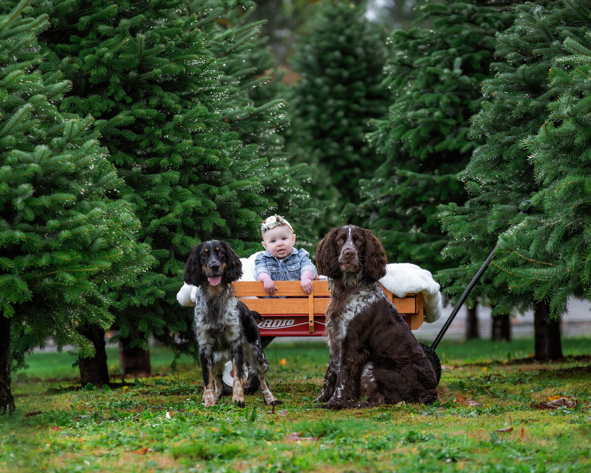 seattle-family-photographer-8