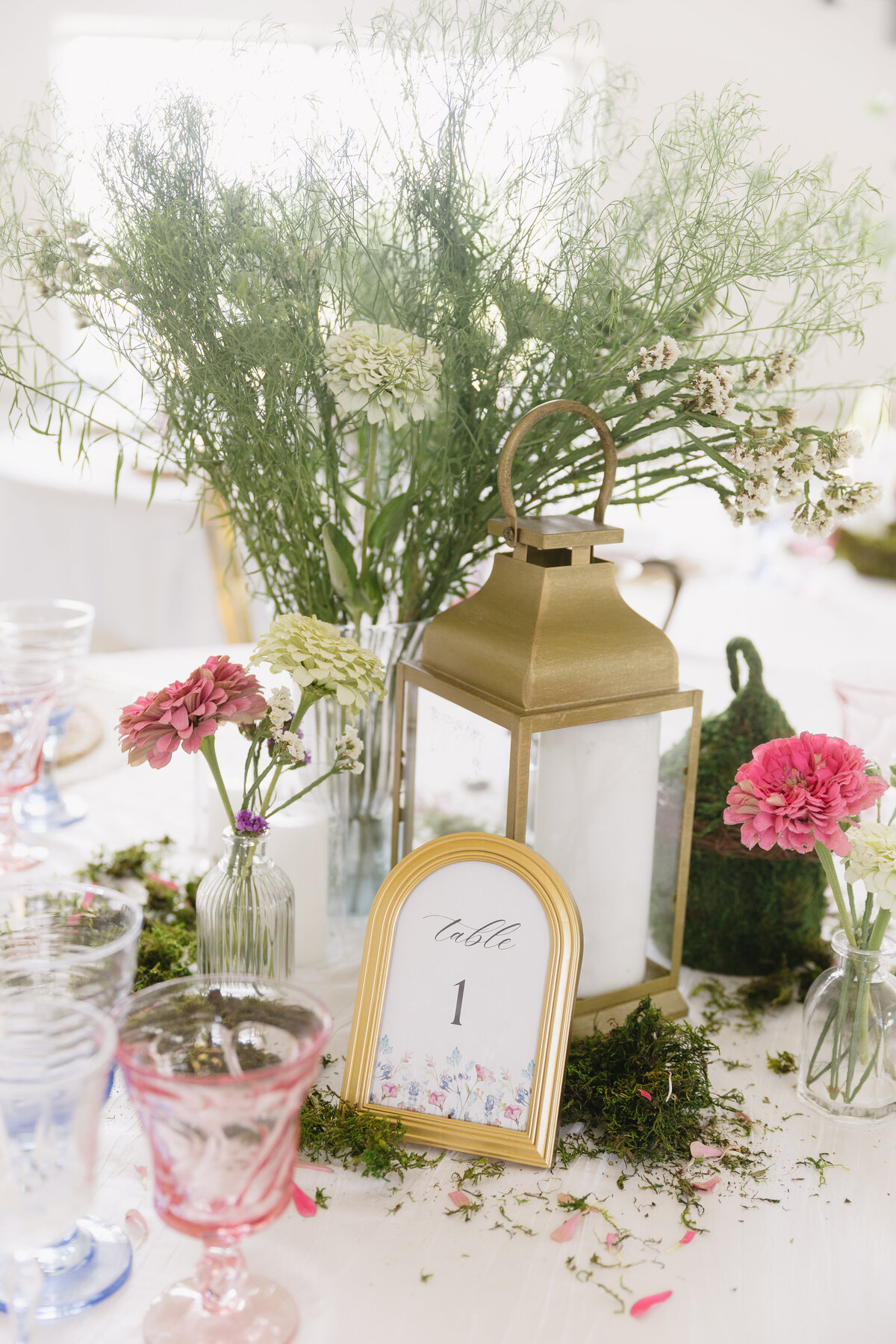 WhiteIronRidge-AlyssaGHenryPhotography-025