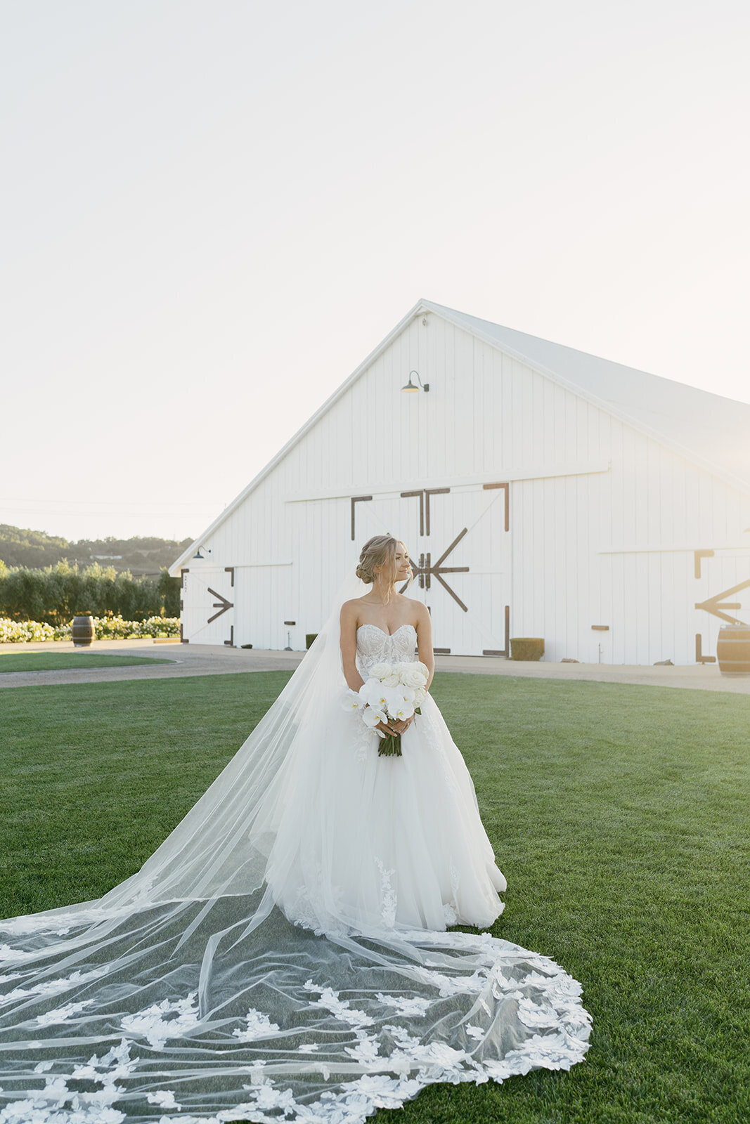 the-white-barn-san-luis-obispo-wedding-photogher-samantha-anne10