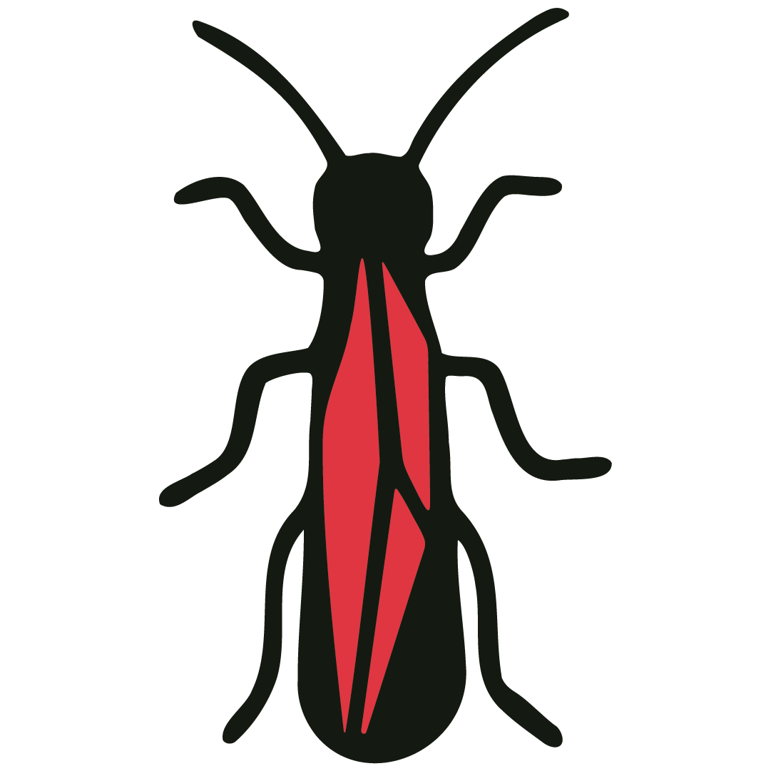 Stonefly - Colorway Two 