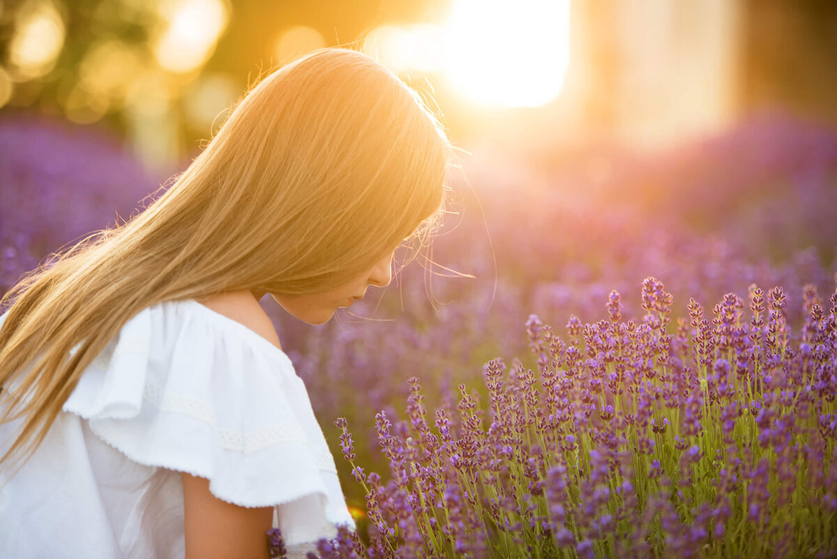 blonde haired girl wearing a white top smelling lavender with the golden sunlight behind her for her lavender family photos