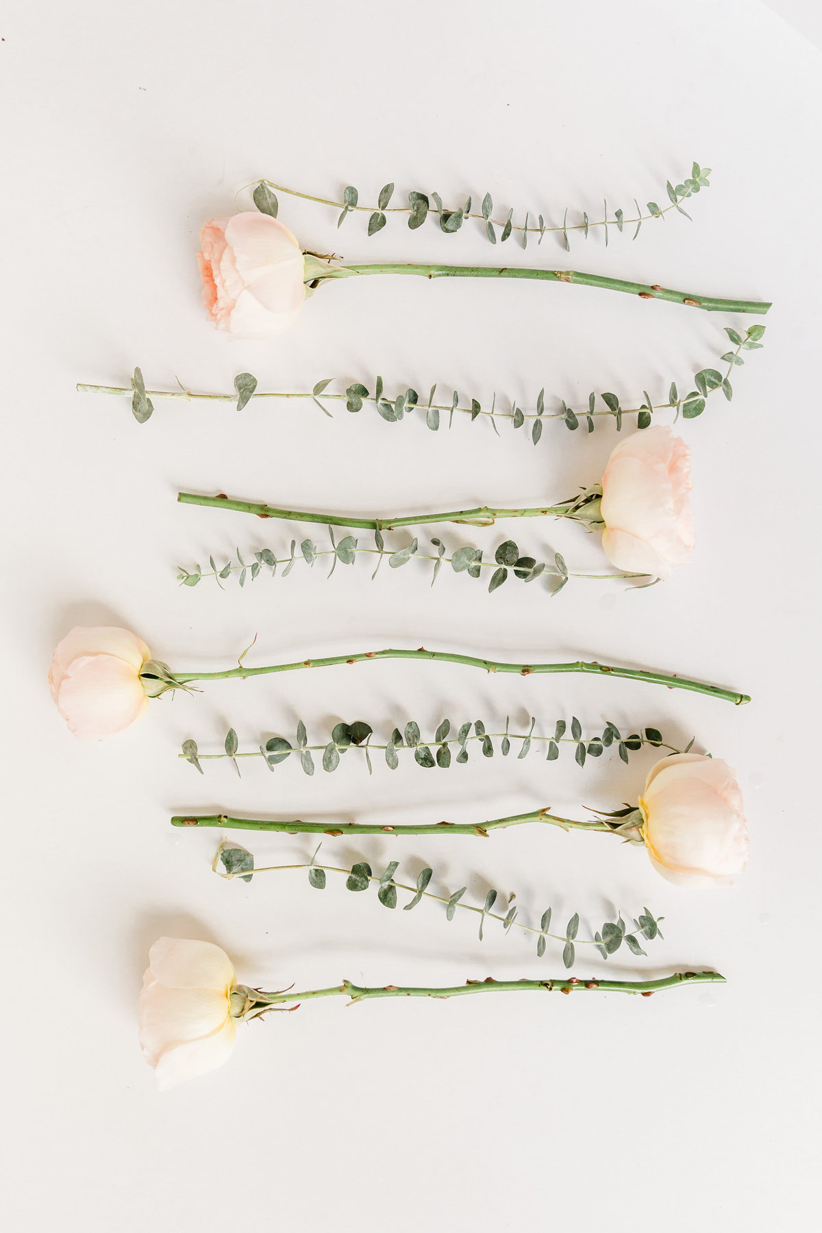 Gillian Paterson Favorites-0011