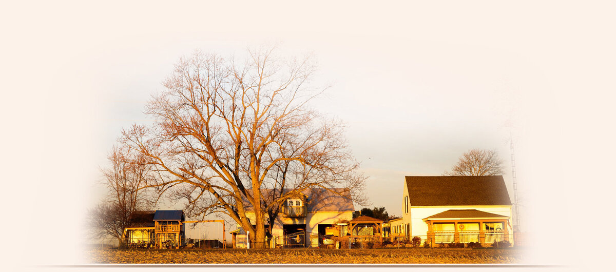 Home of Belmark Shelties