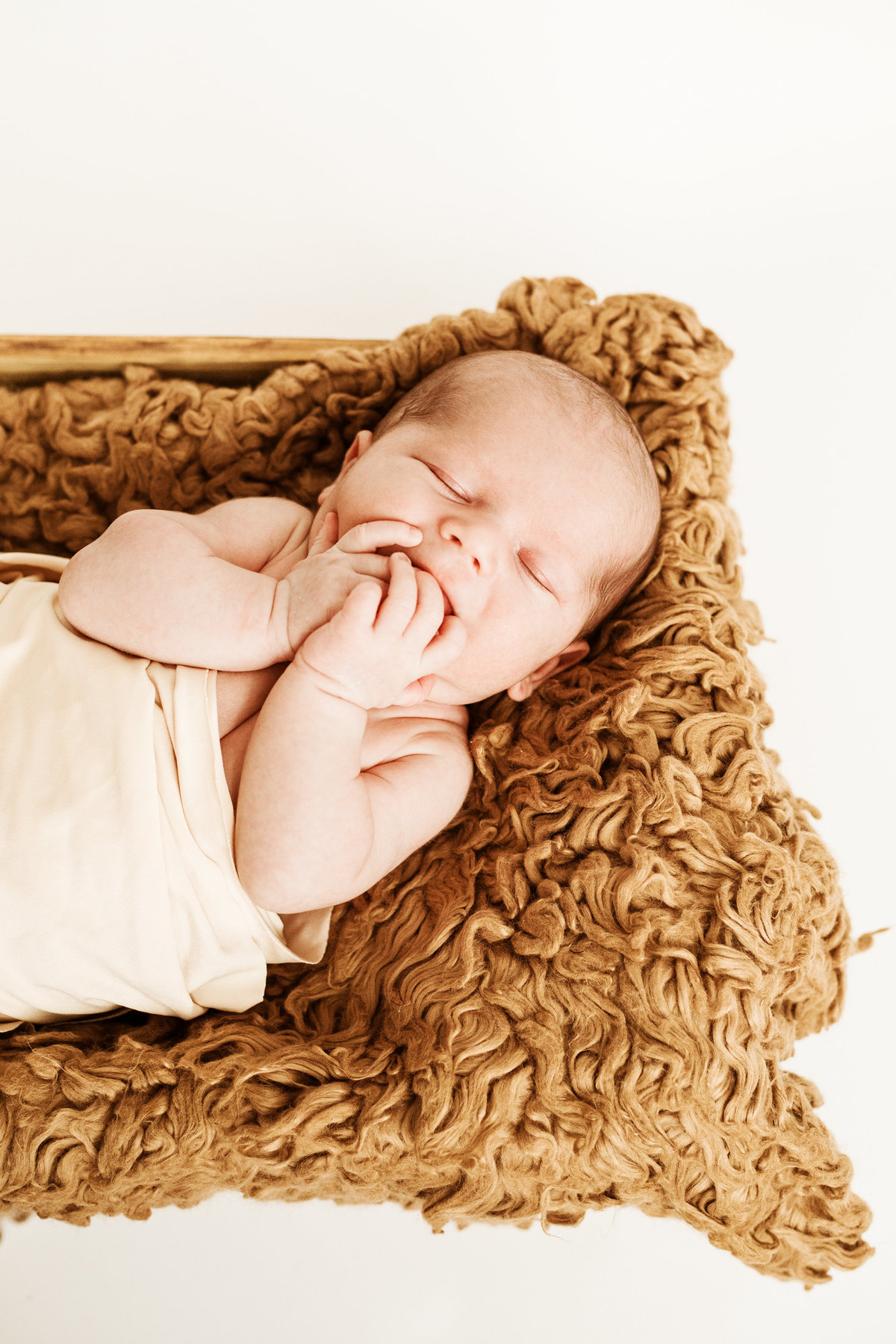 Pittsburgh Newborn Photographers-5