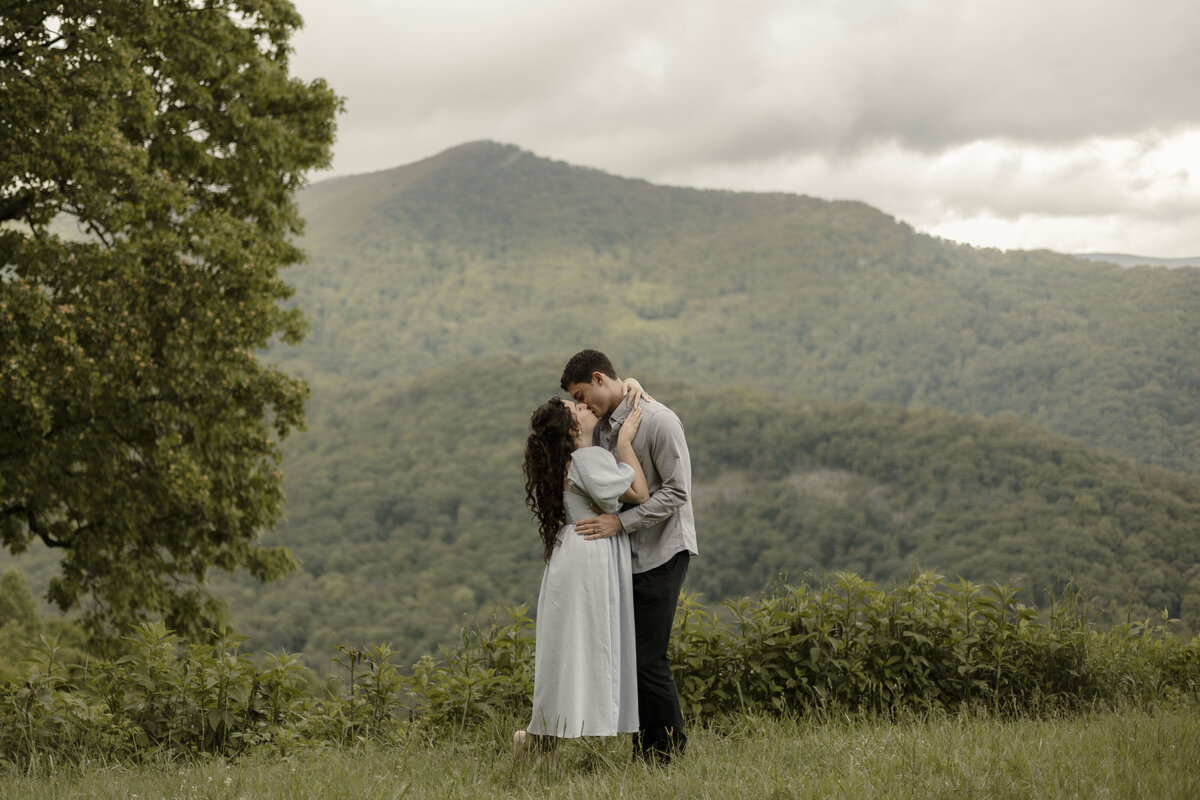smoky mountain photographer (2)