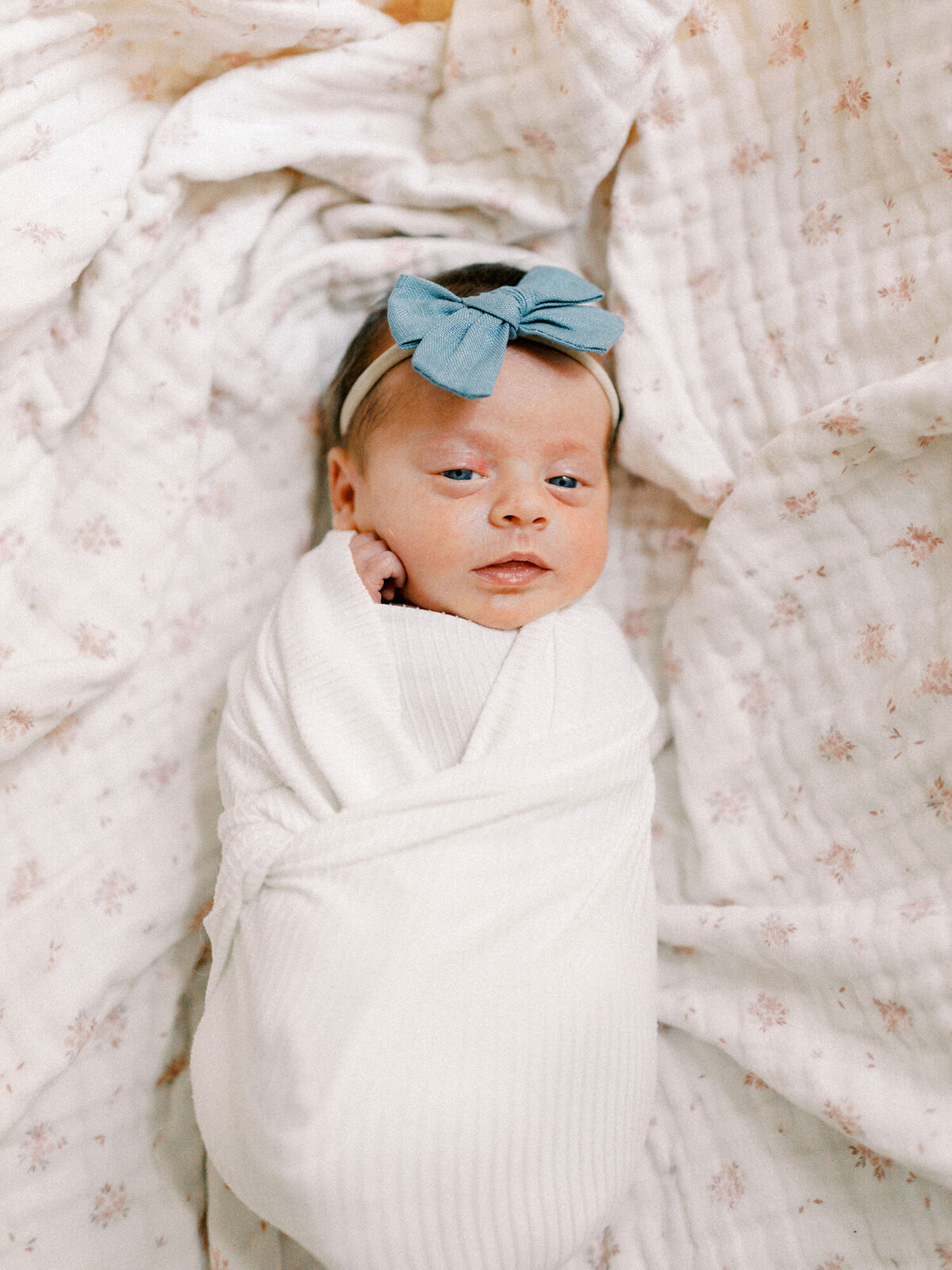 Cynthia-Knapp-Photography-Featured-Newborn-Gallery-052