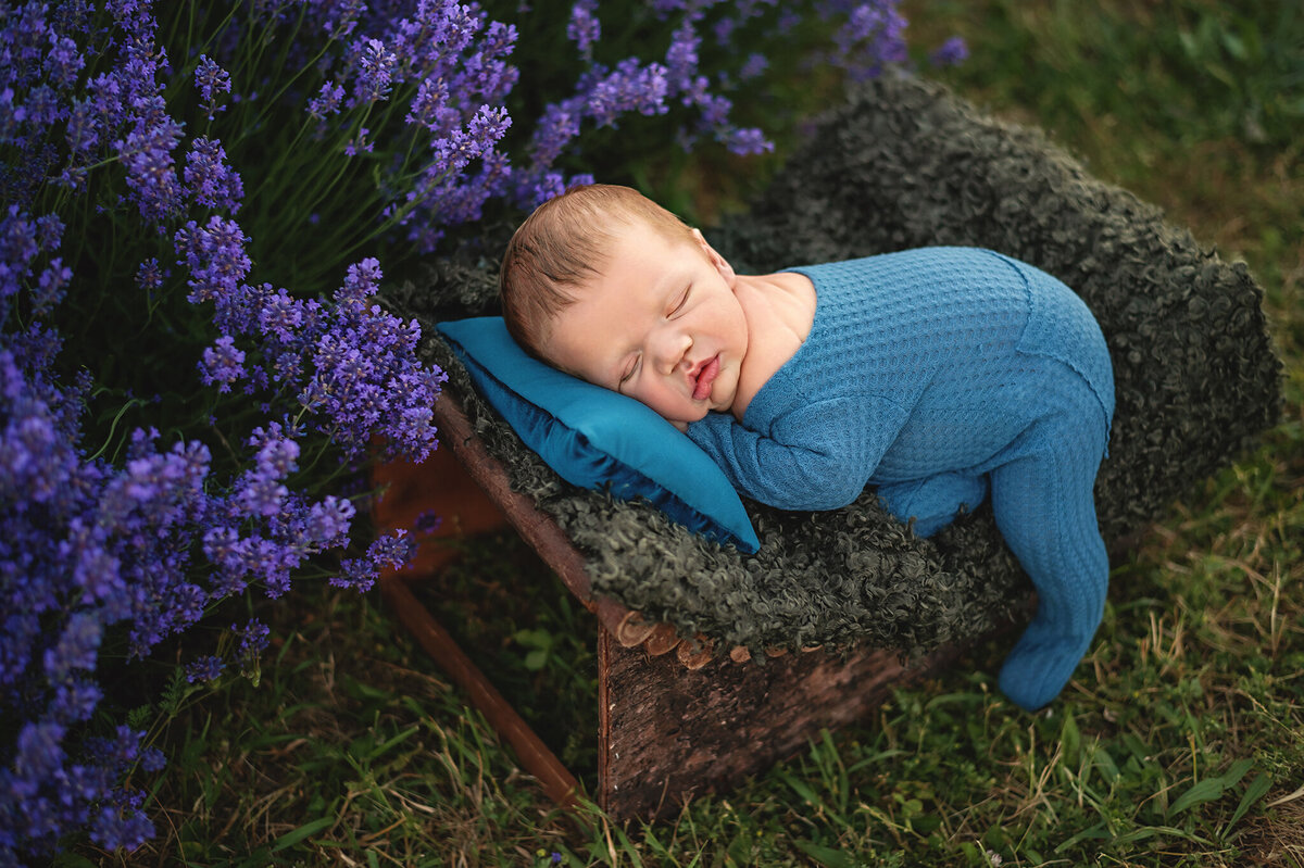 Baby boy on a wood log surrounded by lavender plants at NEOB Lavender, Tamara Danielle Newborn Toronto Photographer