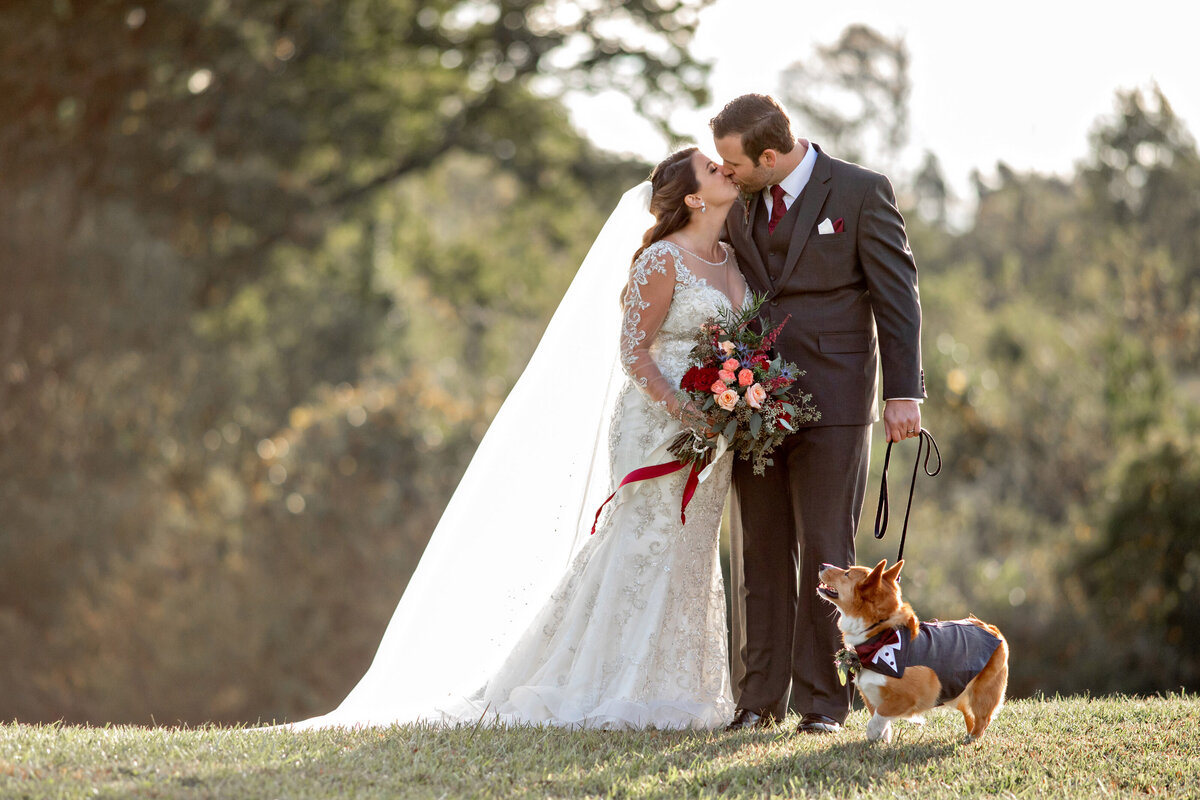 pittsburgh wedding photographer - us and the dog00008