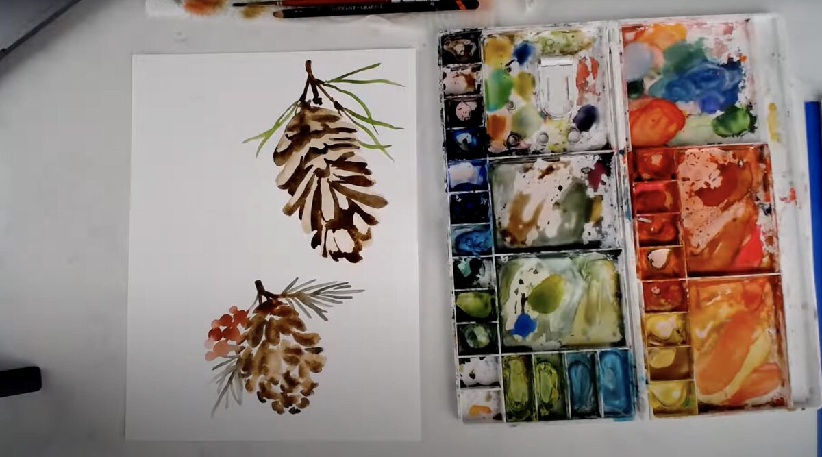 live-2021-11-23-pine-cones-1