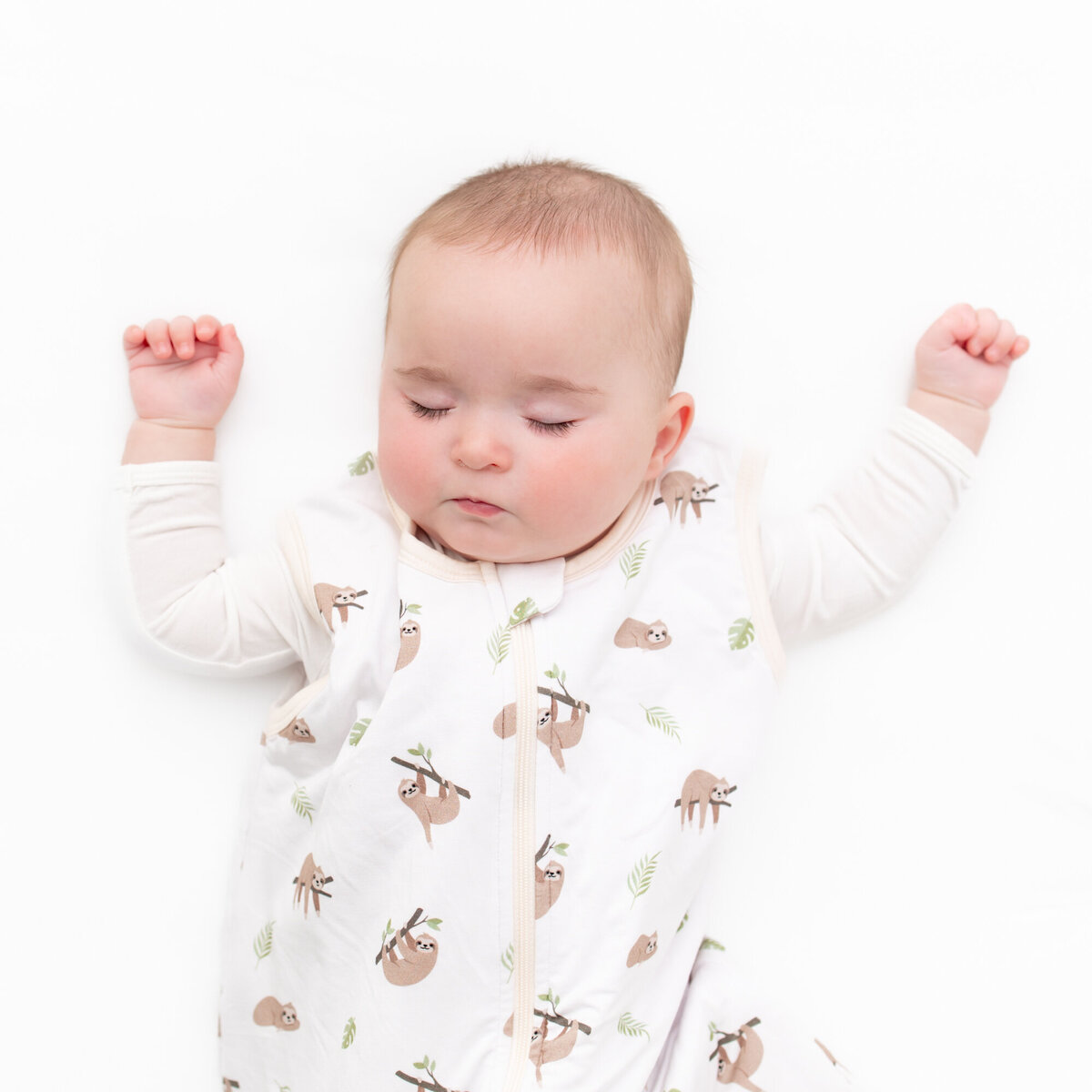 2024-05-01BambooLittleFatBaby-1901