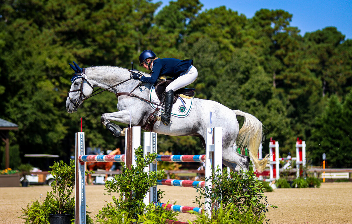 A fleabitten grey horse jumping a large red oxer during an event at the Carolina Horse Park in Raeford, North Carolina.