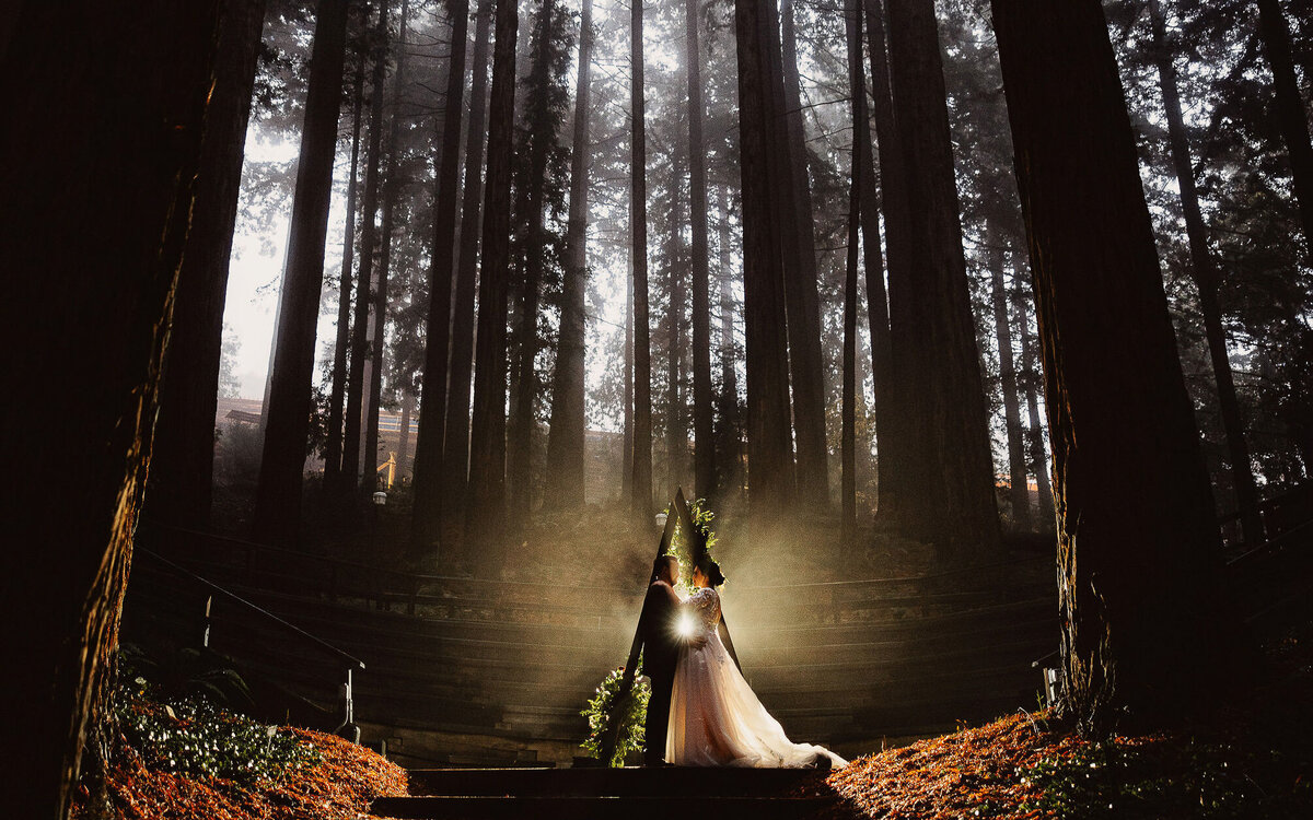 foggy-redwood-wedding-berkeley-botanical-gardens-photography-videography-4