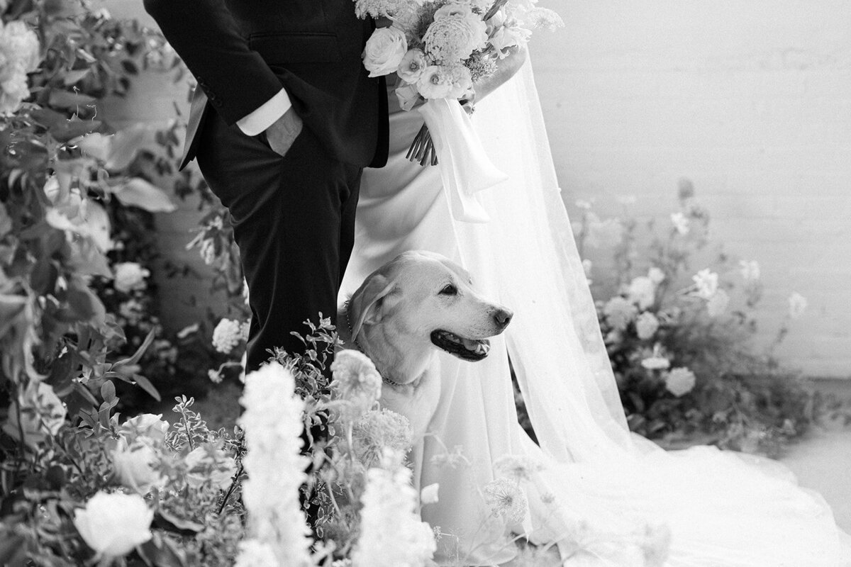 Caroline & Karl_0235