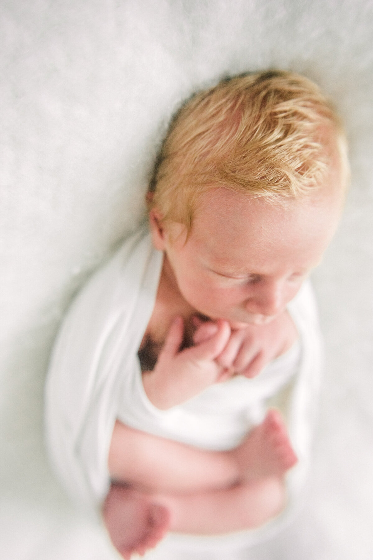 asheville nc newborn photographer-3589