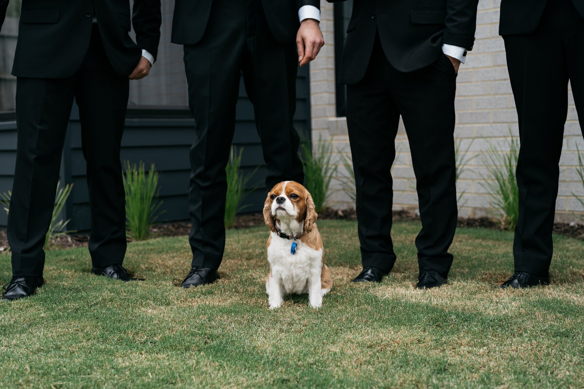 Courtney Laura Photography, Kate and Nick, Yarra Valley Wedding Photographer, Vue on Halcyon-67