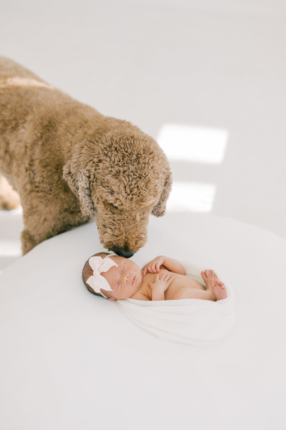Bella Newborn-21