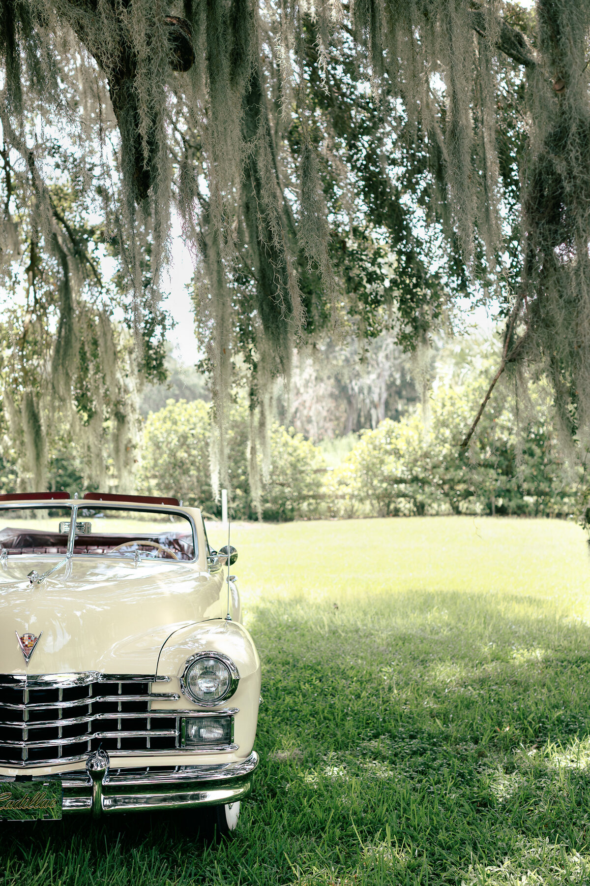 Jordyn_Dryden_Photography_Detroit_Chicago_Traverse_City_Photographer-554