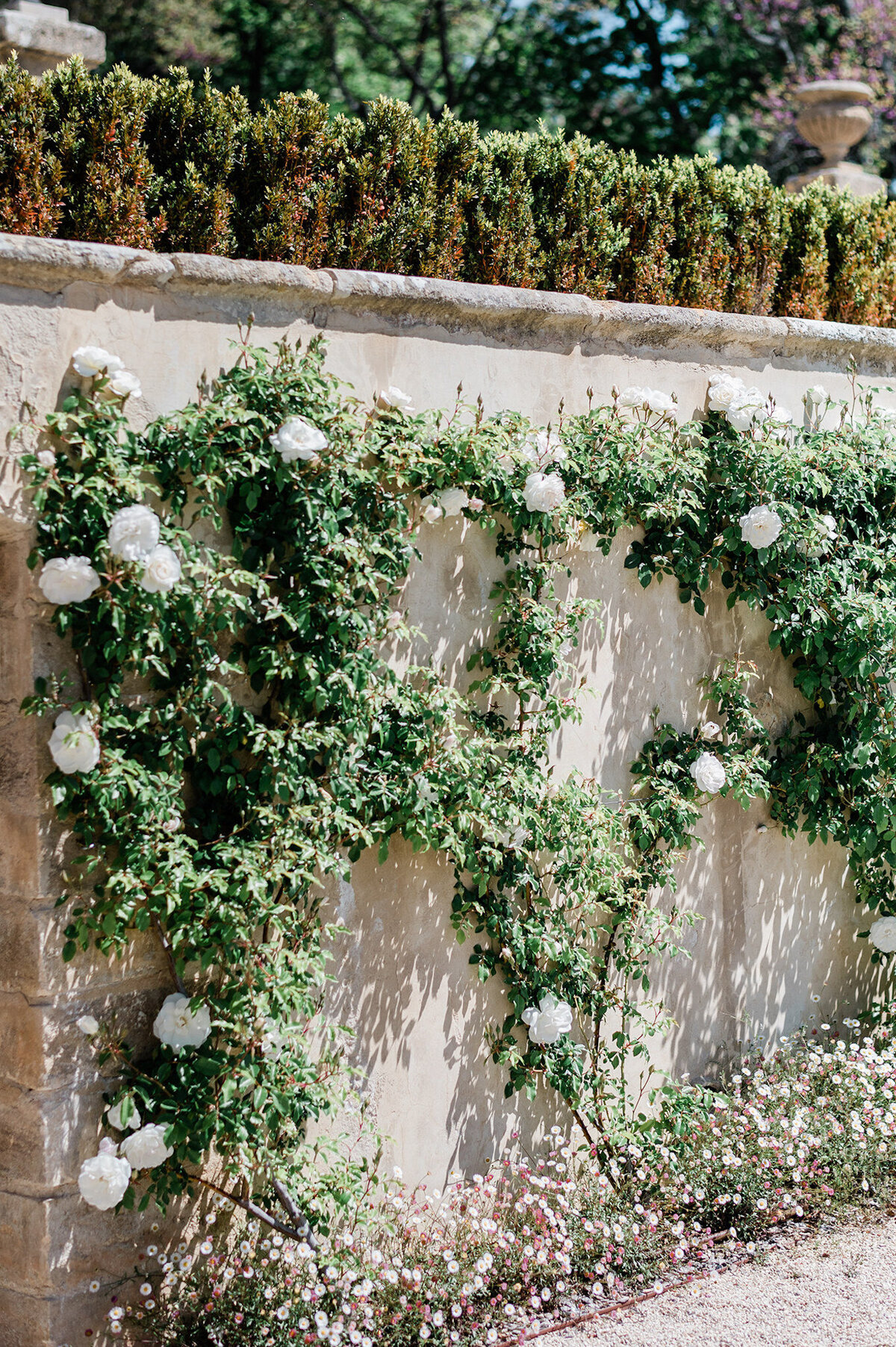 Capturing the artistry of your love, our luxury weddings and elopements in France weave together authentic emotions and elegant compositions. Each photograph is a masterpiece, reflecting your unique story.