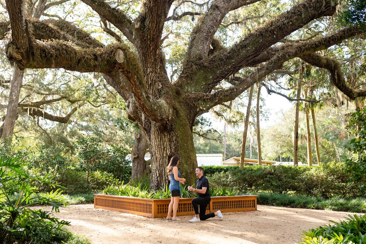 St Augustine Proposal Photographer | Phavy Photography