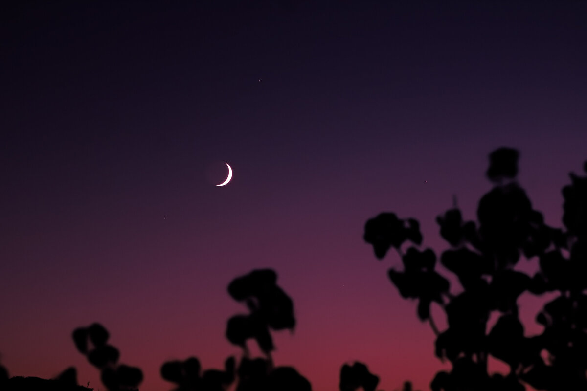 PurpleMoon-3