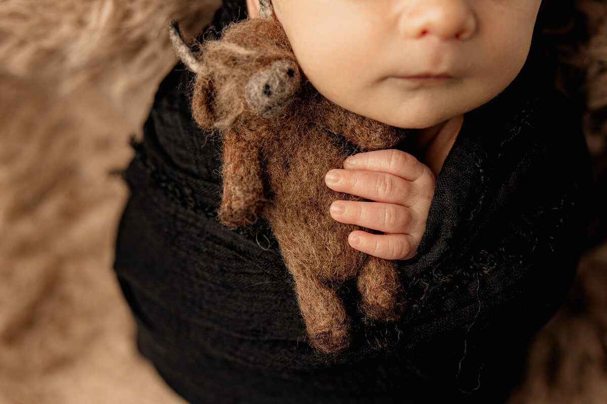 Artistic newborn portrait highlighting baby’s tiny fingers grasping a felted longhorn plush, adding texture and personality to a neutral-toned session. Captured in-studio by Inland Empire newborn photographer Kaitlyn Dawn.
