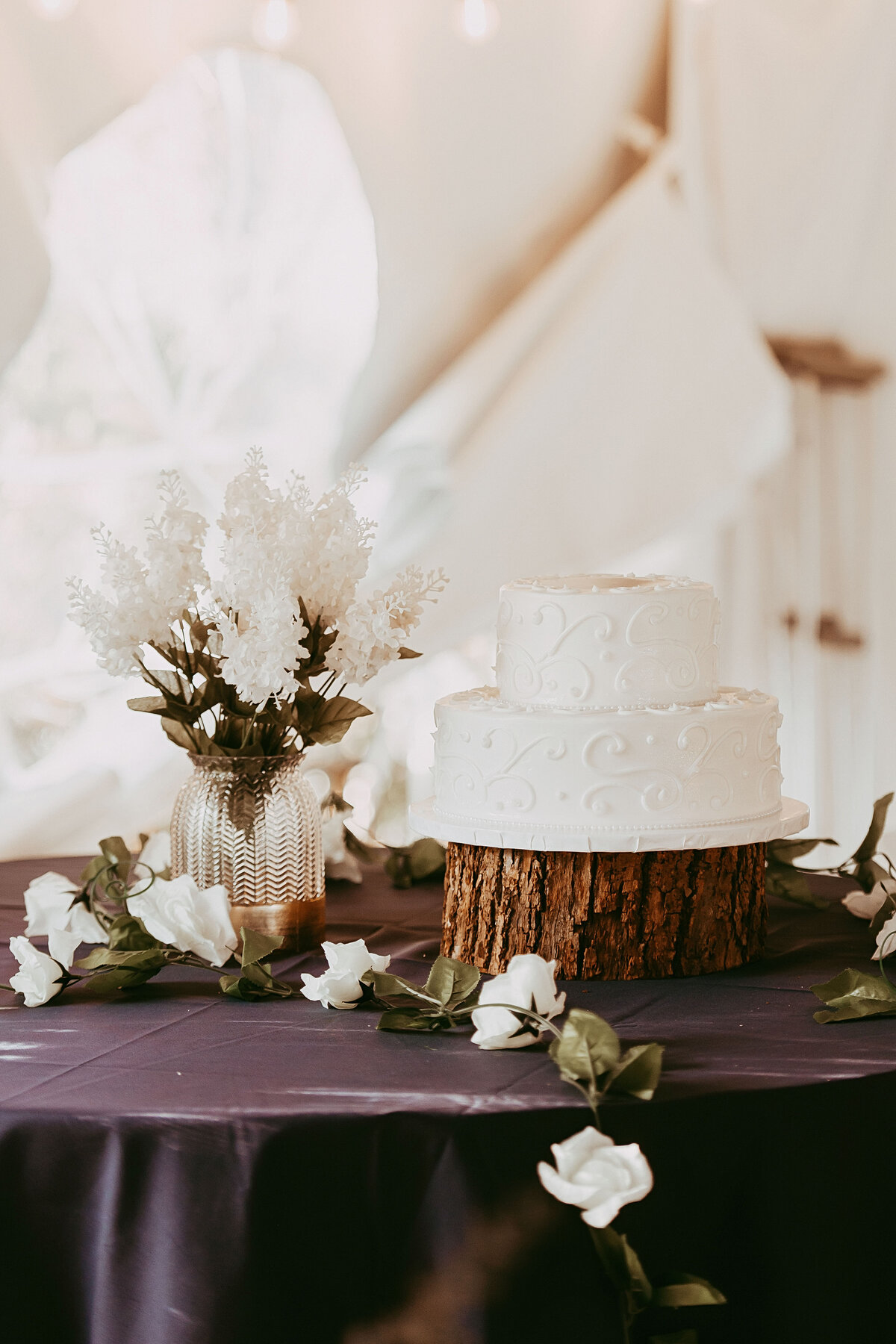 Toledo Area Outdoor Tent Wedding Venue