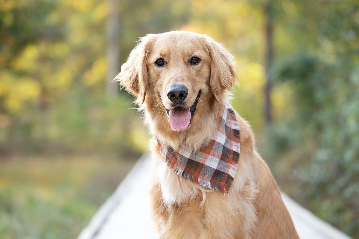 474383610_2843228312545865_1596341367331594497_n