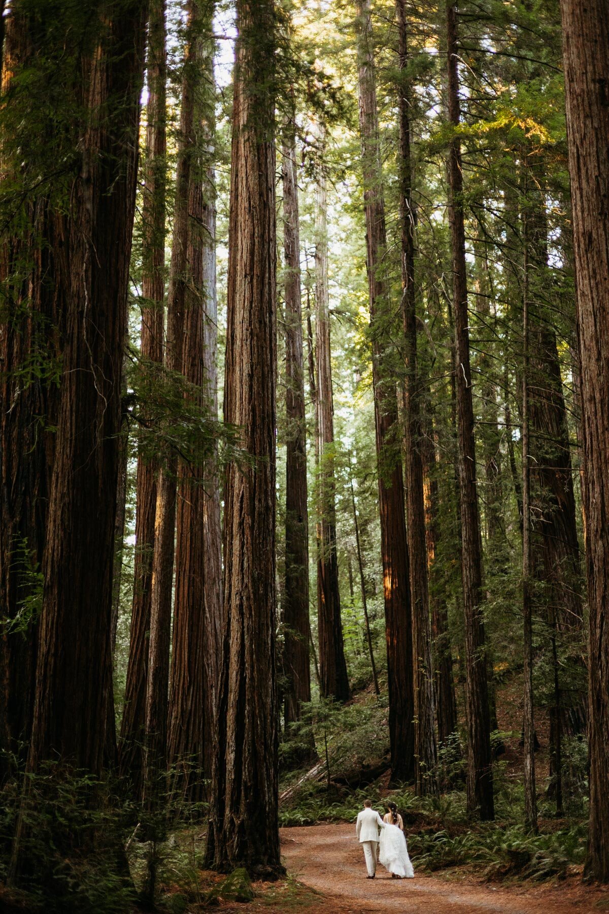 redwoods-elopement-photographer
