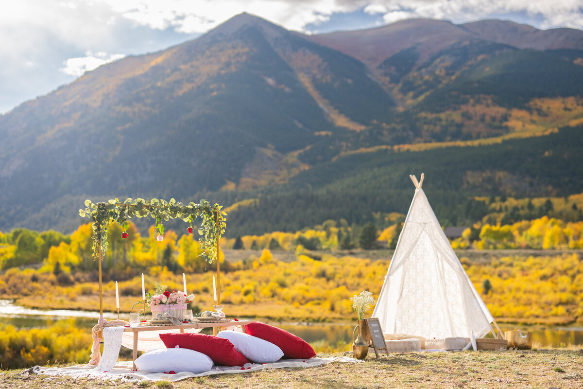 Swati and Anisha Proposal-8