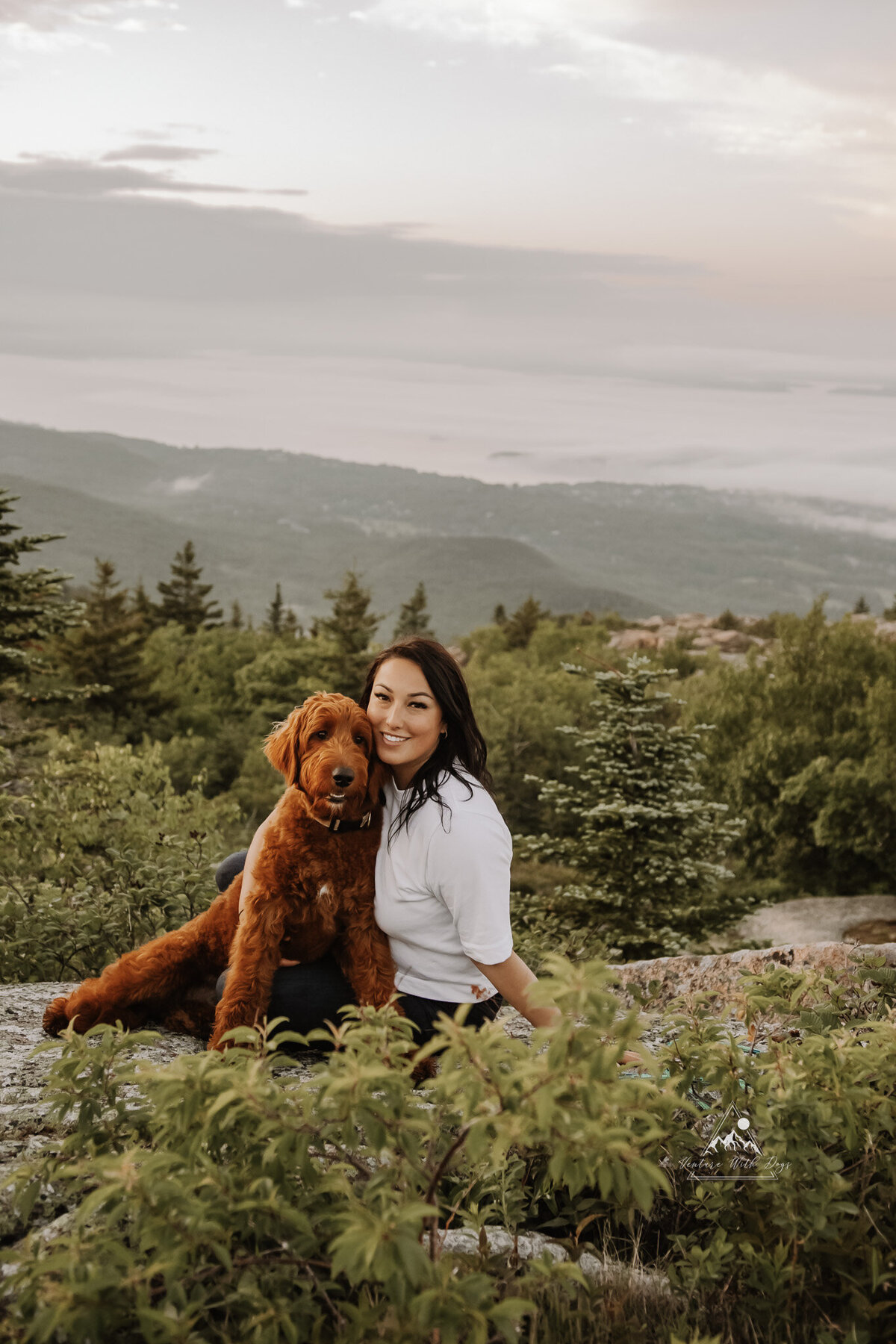 Cadillac mountain with dog