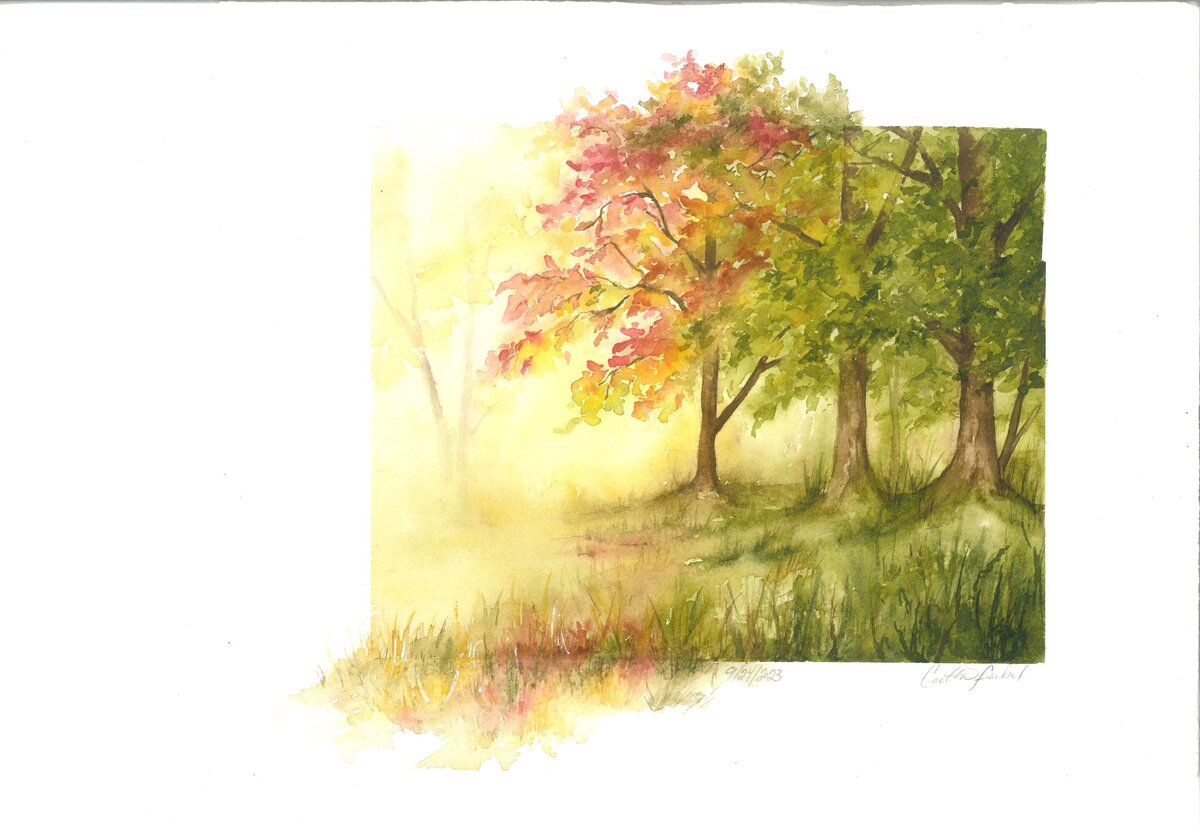 #1 'The Forest Was Changing'
